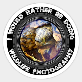 I Would rather be doing Wildlife Photography Leopard Tortoise Sticker